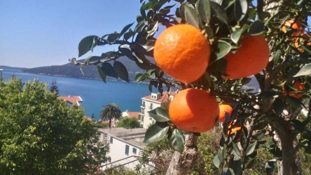Апартаменты House Orange Apartments Херцег-Нови-30