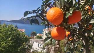 Апартаменты House Orange Apartments Херцег-Нови Апартаменты с 1 спальней-9