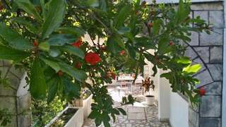 Апартаменты House Orange Apartments Херцег-Нови Апартаменты с 1 спальней-10