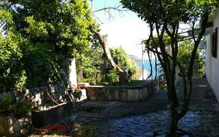 Апартаменты House Orange Apartments Херцег-Нови-3