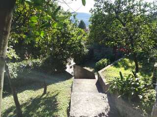 Апартаменты House Orange Apartments Херцег-Нови-4