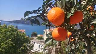 Апартаменты House Orange Apartments Херцег-Нови Апартаменты с 1 спальней-2