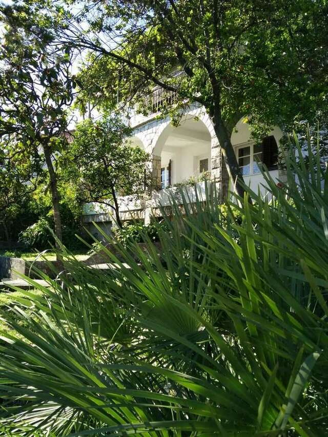 Апартаменты House Orange Apartments Херцег-Нови-4