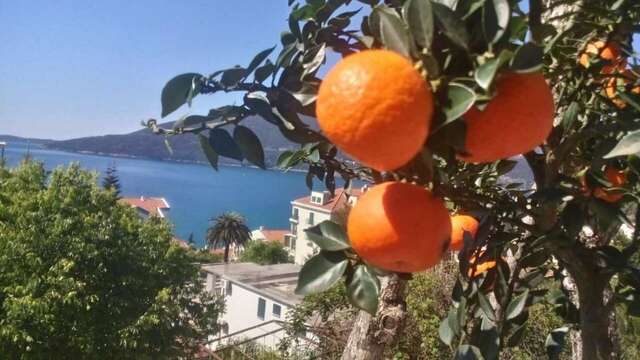 Апартаменты House Orange Apartments Херцег-Нови-29