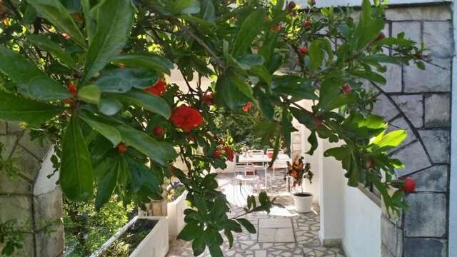 Апартаменты House Orange Apartments Херцег-Нови-30